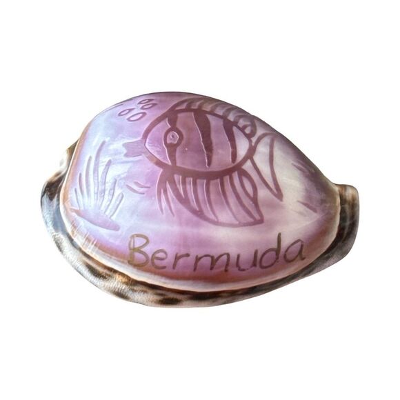 Decorative Pink Fish Shell - Picture 2 of 6